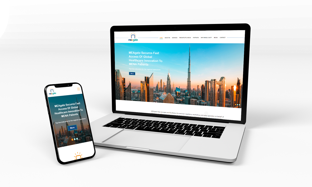 MEAgate Healthcare Website, screen 1